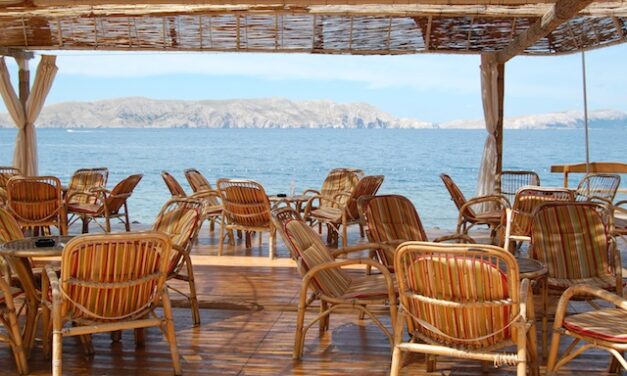 Welche Holzarten eignen sich für die Terrasse?