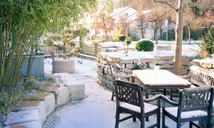Die richtige Gartenpflege im Winter