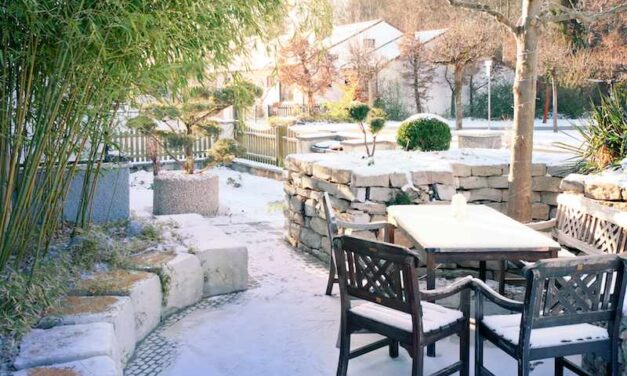 Die richtige Gartenpflege im Winter