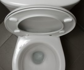 WC-Sitz mit Absenkautomatik