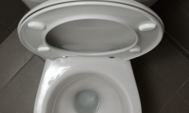 Ein WC-Sitz mit Absenkautomatik