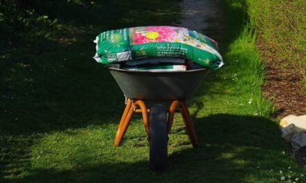 Vorbereitung des Gartens für den Frühling