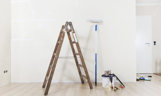 Gipskartonplatten – glatte Wände und Decke schnell und einfach