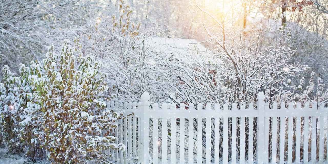 Vorgartenzaun – hoch oder niedrig?