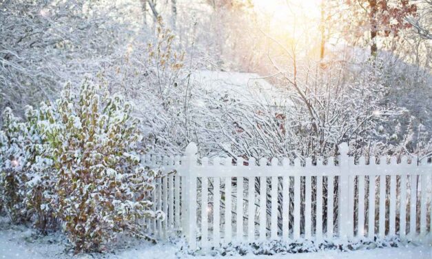 Vorgartenzaun – hoch oder niedrig?