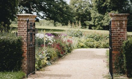 Einfahrtstor für Einfamilienhaus: welches Material und Tortyp?